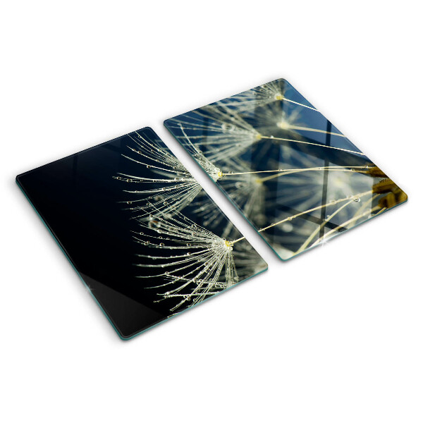 Glass kitchen board Dandelions with water drops