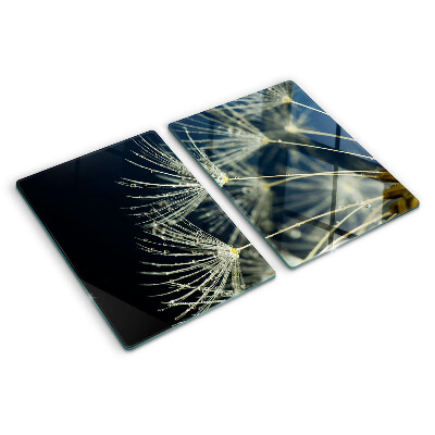 Glass kitchen board Dandelions with water drops