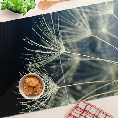 Glass kitchen board Dandelions with water drops