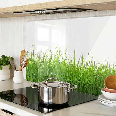 Glass cutting board Grass in the sun