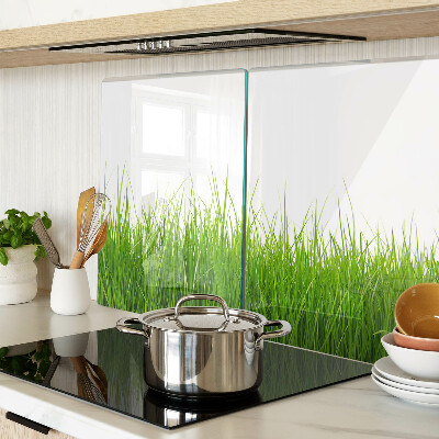 Glass cutting board Grass in the sun