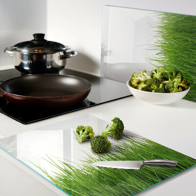 Glass cutting board Grass in the sun