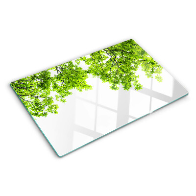 Glass kitchen board Green leaves against the sky