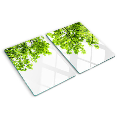 Glass kitchen board Green leaves against the sky