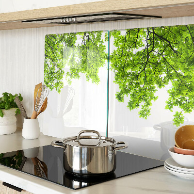 Glass kitchen board Green leaves against the sky