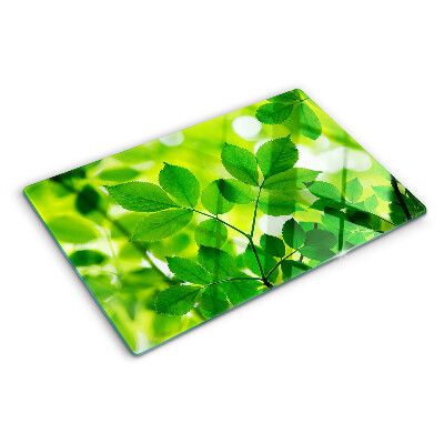 Cutting board Leaves on a green background