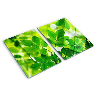 Cutting board Leaves on a green background