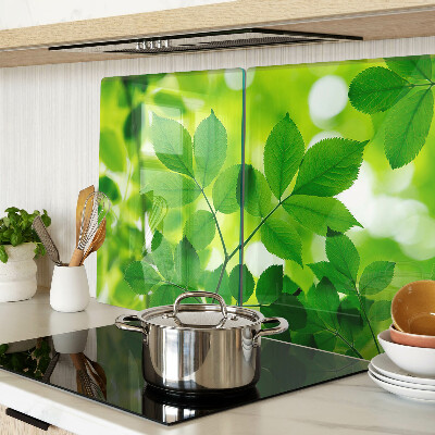 Cutting board Leaves on a green background