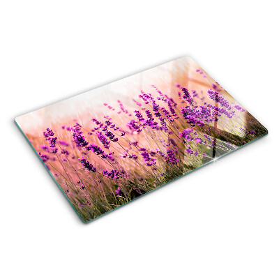 Chopping board glass Lavender field in the sunshine