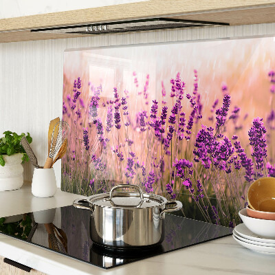 Chopping board glass Lavender field in the sunshine
