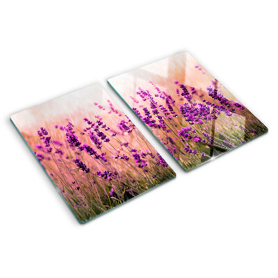 Chopping board glass Lavender field in the sunshine
