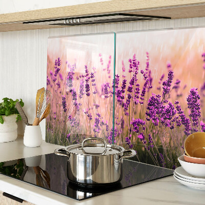 Chopping board glass Lavender field in the sunshine