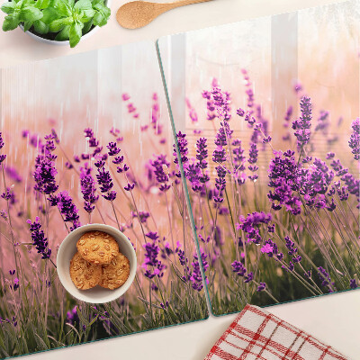 Chopping board glass Lavender field in the sunshine