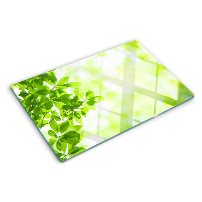 Chopping board glass Green leaves in the light