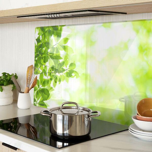 Chopping board glass Green leaves in the light