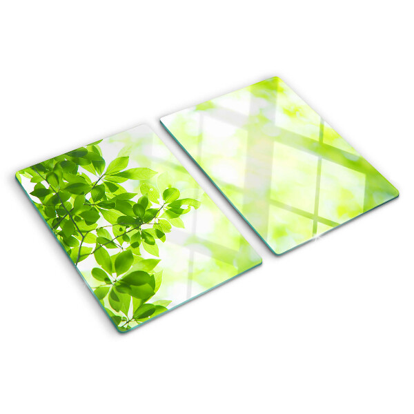 Chopping board glass Green leaves in the light