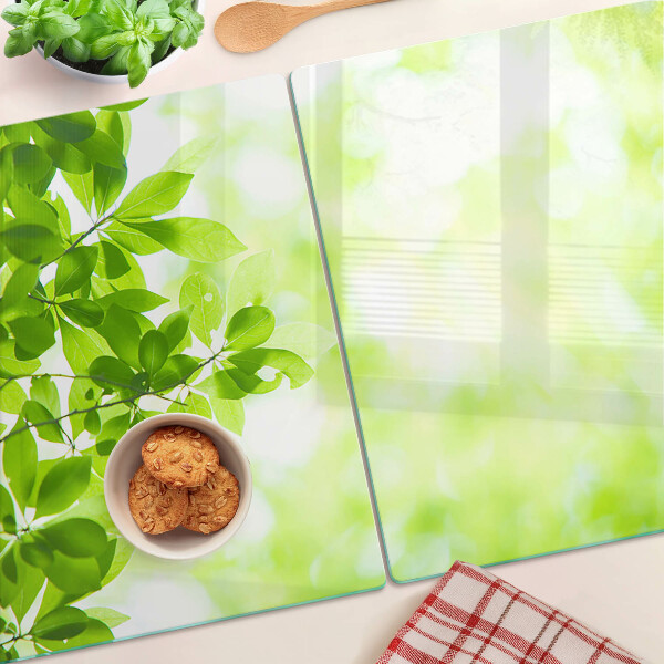 Chopping board glass Green leaves in the light