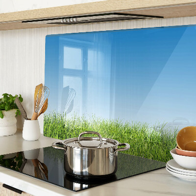 Glass kitchen board Green meadow under a blue sky