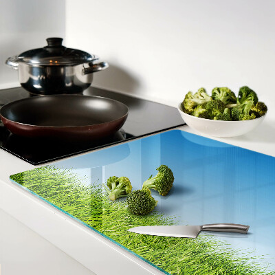 Glass kitchen board Green meadow under a blue sky