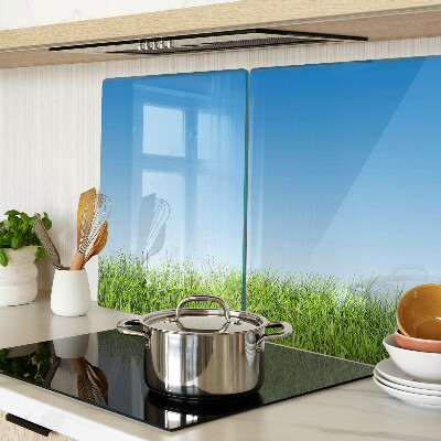 Glass kitchen board Green meadow under a blue sky