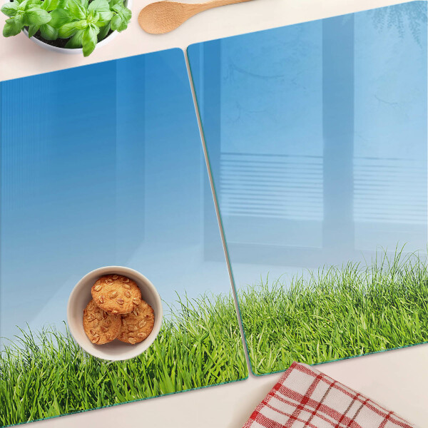 Glass kitchen board Green meadow under a blue sky