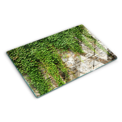 Glass cutting board Green wall with moss