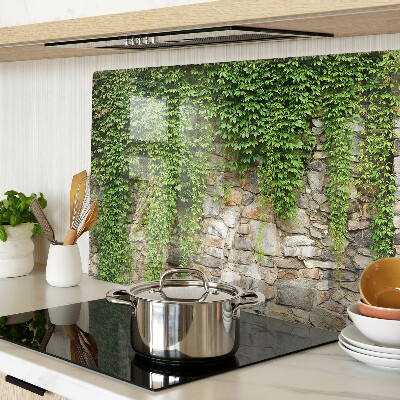 Glass cutting board Green wall with moss