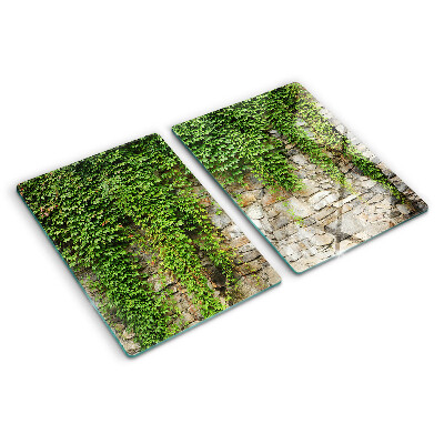 Glass cutting board Green wall with moss