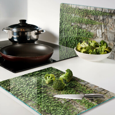 Glass cutting board Green wall with moss