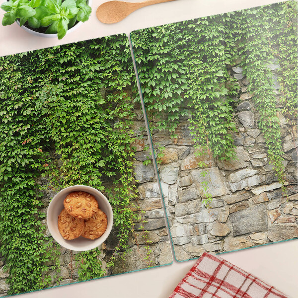 Glass cutting board Green wall with moss