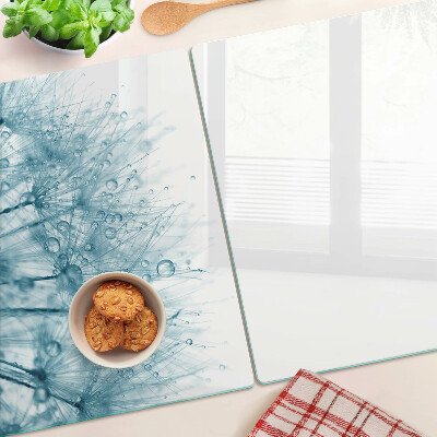 Glass kitchen board Dandelions with water drops