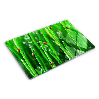 Glass chopping board Water drops on grass with ladybugs