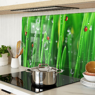 Glass chopping board Water drops on grass with ladybugs