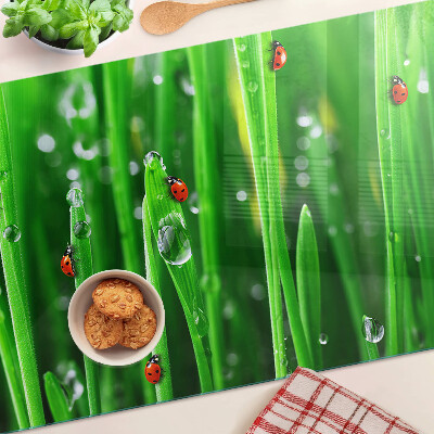 Glass chopping board Water drops on grass with ladybugs