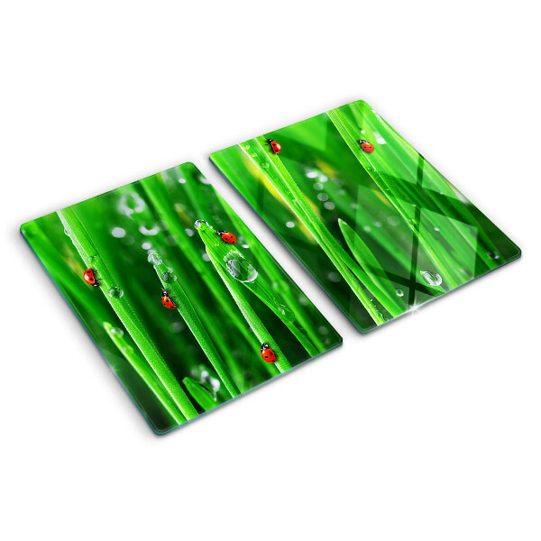 Glass chopping board Water drops on grass with ladybugs