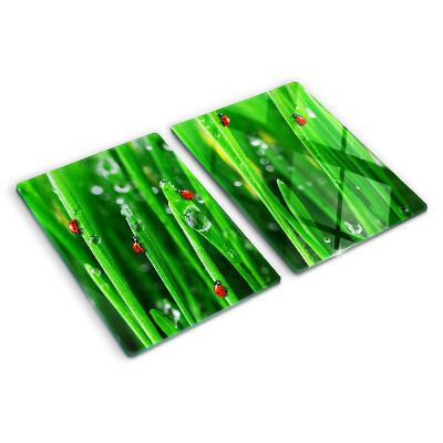 Glass chopping board Water drops on grass with ladybugs