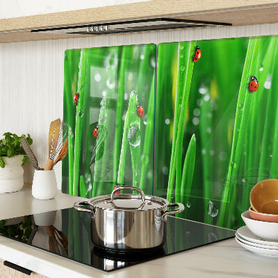 Glass chopping board Water drops on grass with ladybugs