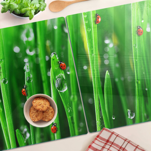 Glass chopping board Water drops on grass with ladybugs
