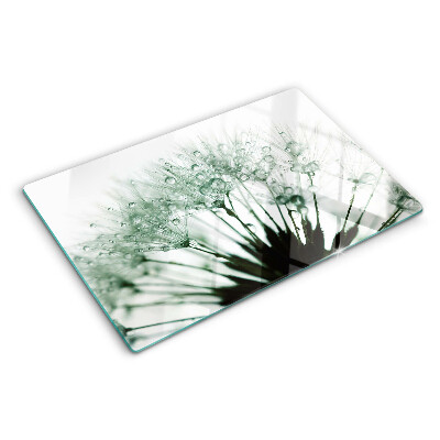 Glass kitchen board Dandelions with water drops