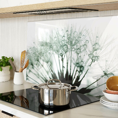 Glass kitchen board Dandelions with water drops