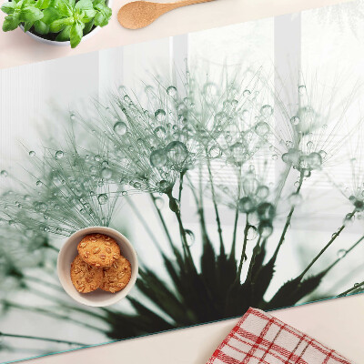 Glass kitchen board Dandelions with water drops