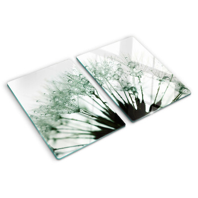 Glass kitchen board Dandelions with water drops