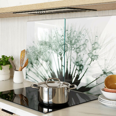 Glass kitchen board Dandelions with water drops