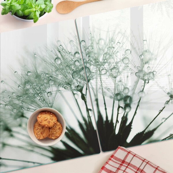 Glass kitchen board Dandelions with water drops