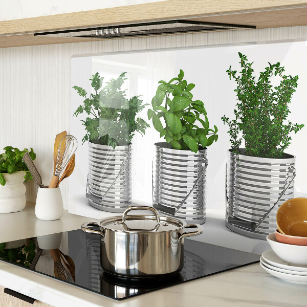 Glass kitchen board Plants in metal pots