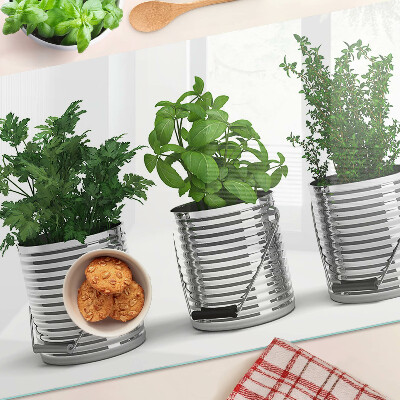 Glass kitchen board Plants in metal pots