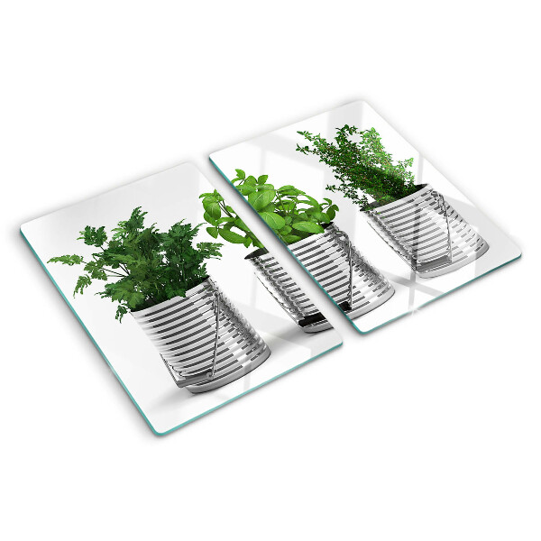 Glass kitchen board Plants in metal pots