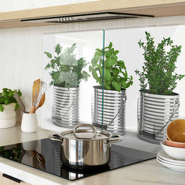 Glass kitchen board Plants in metal pots