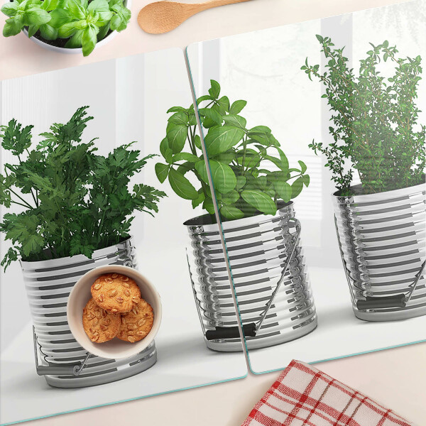 Glass kitchen board Plants in metal pots