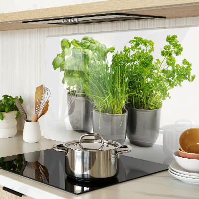 Glass cutting board Herbs in pots